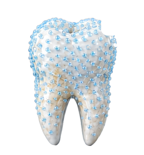 Nano-hydroxyapatite bonding to a tooth