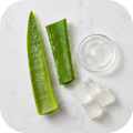 smile-ingredient-aloe-vera